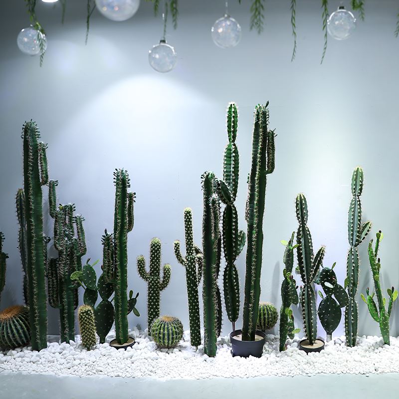 artificial cactus
