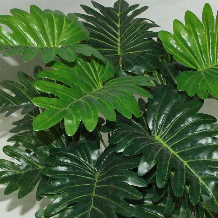 425138020702e044ff35342d100bdcc8