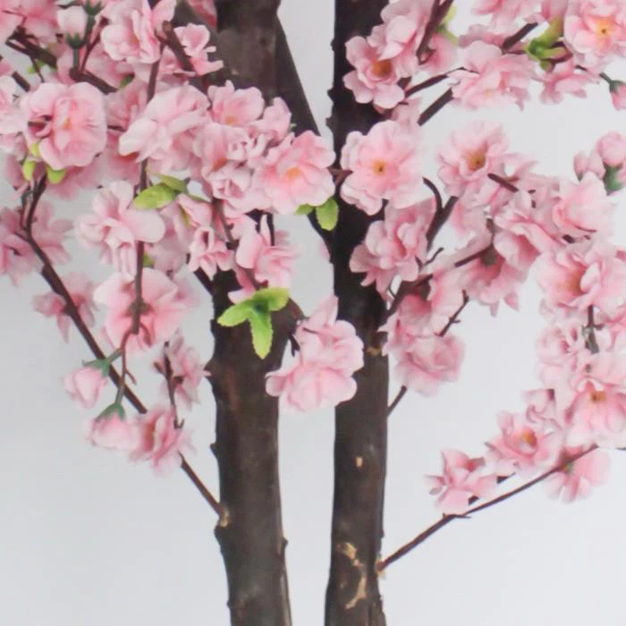 e3e536fd0c705c9b8a2a8fad1dfefaad