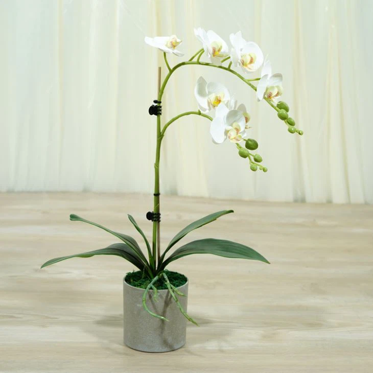 2 उपजी रेशम नकली ऑर्किड असली स्पर्श फूल