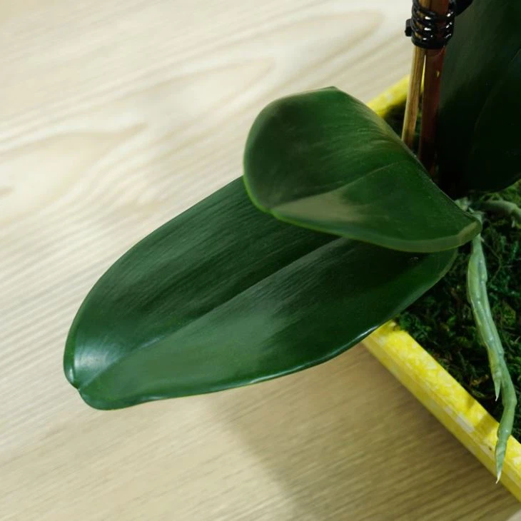 5 Heads Pink Lifelike Butterfly Orchids Indoor Elegant Layout