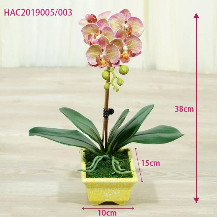 5 Heads Pink Lifelike Butterfly Orchids Indoor Elegant Layout